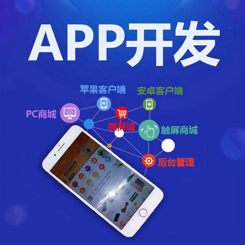 昆山软件开发：企业数字化转型的引擎